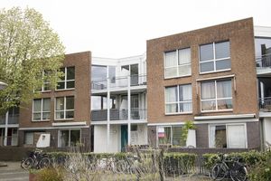 Blankenbergestraat